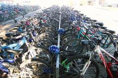 17.  On your Bike!    (Landscapes)