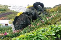 3. (Plant Life)     Pollination on a Grand Scale