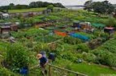 allotments allotments