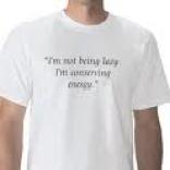 conserve energy conserve energy