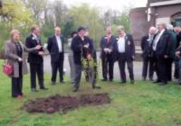 Tree planting